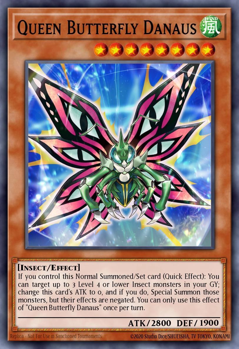 Queen Butterfly Danaus