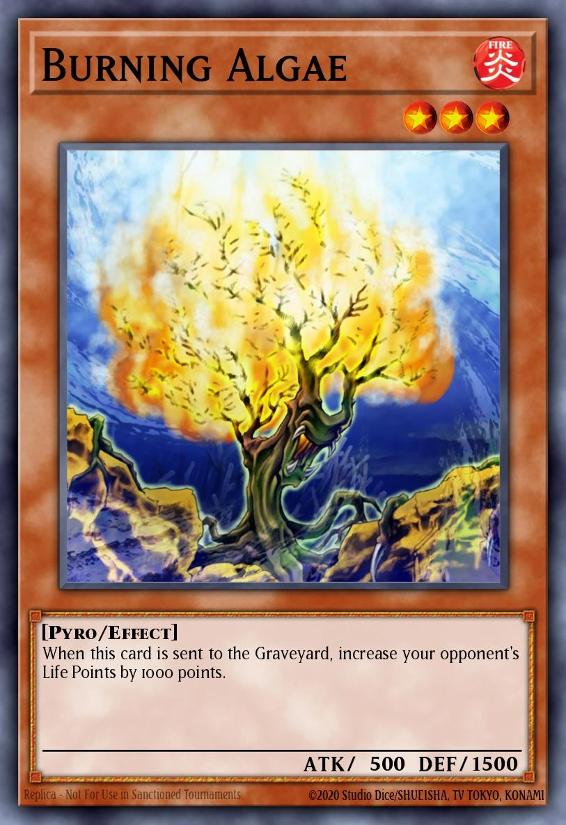 Burning Algae