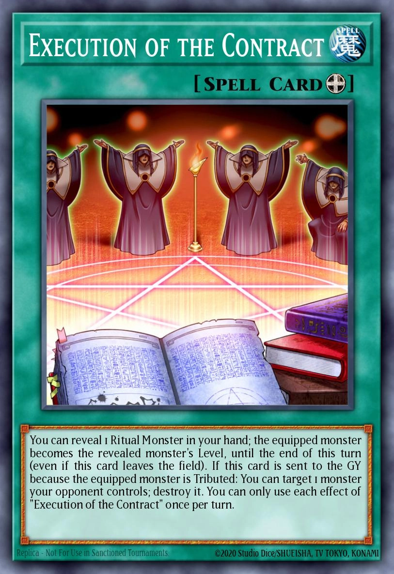 Execution of the Contract